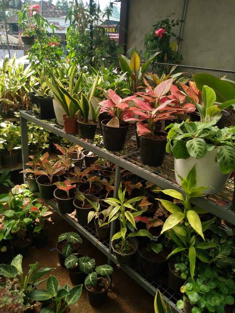 MANCHOTTIL GARDEN PUTHIYANGADI