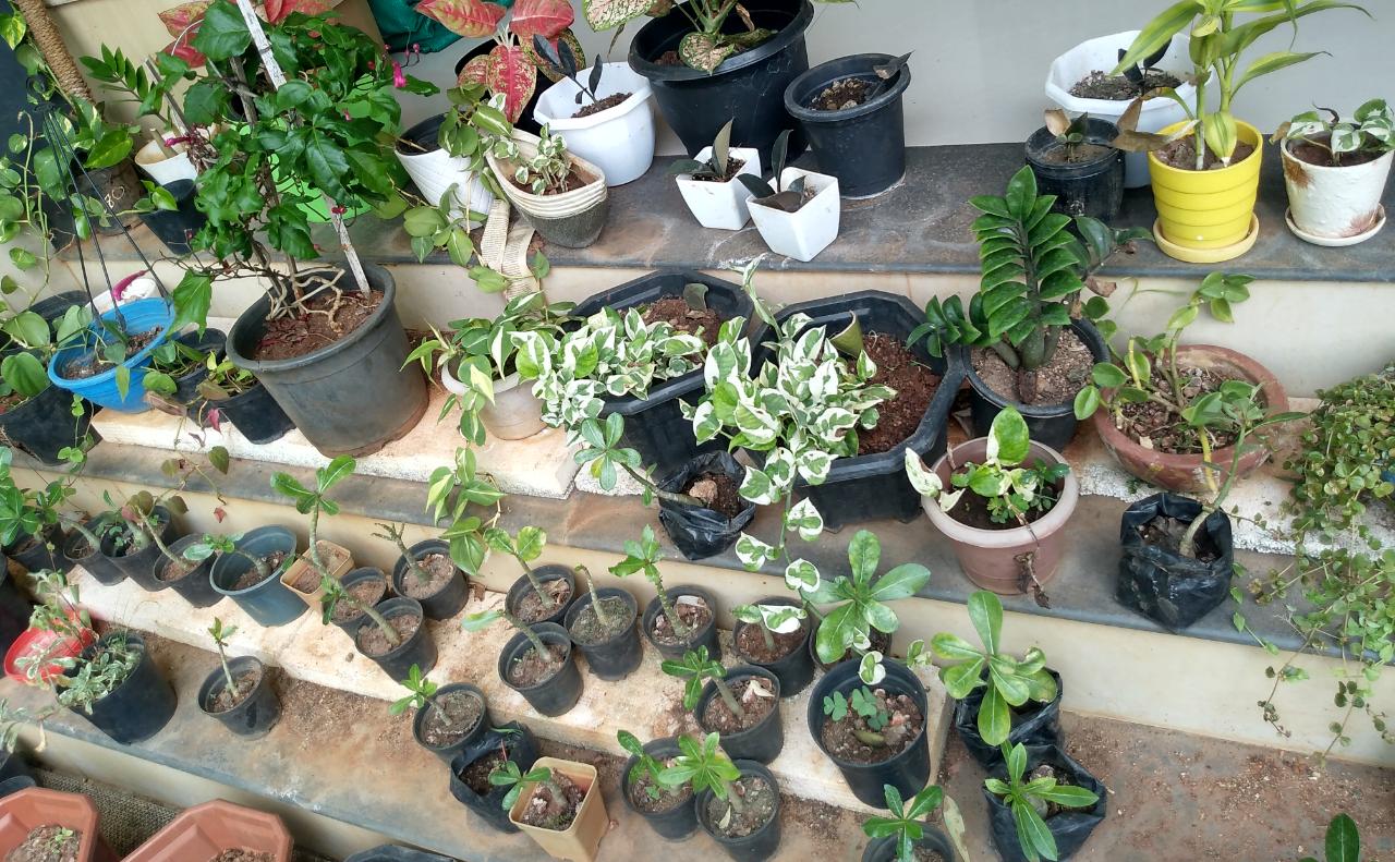 MANCHOTTIL GARDEN PUTHIYANGADI