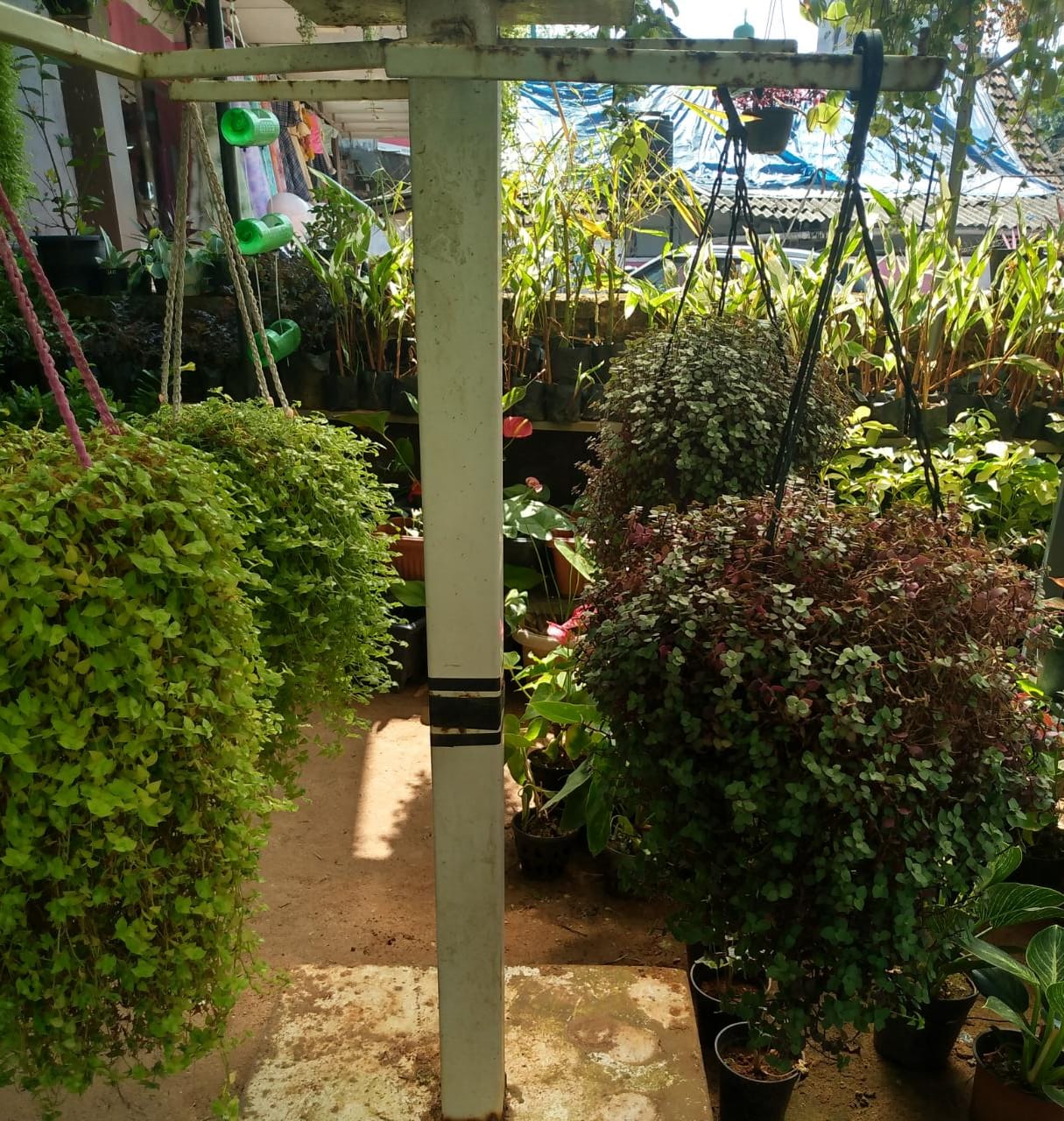 MANCHOTTIL GARDEN PUTHIYANGADI