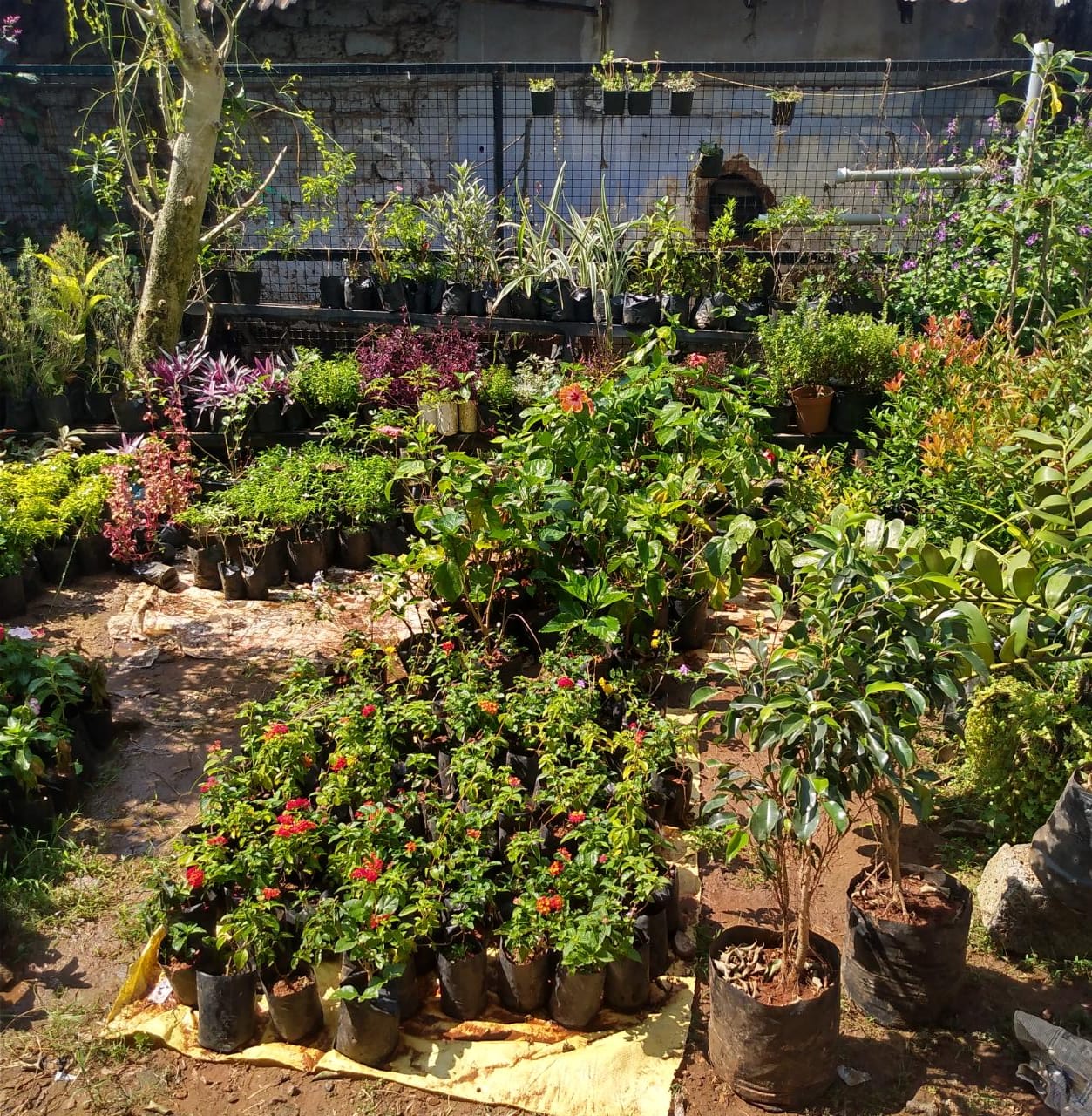 MANCHOTTIL GARDEN PUTHIYANGADI