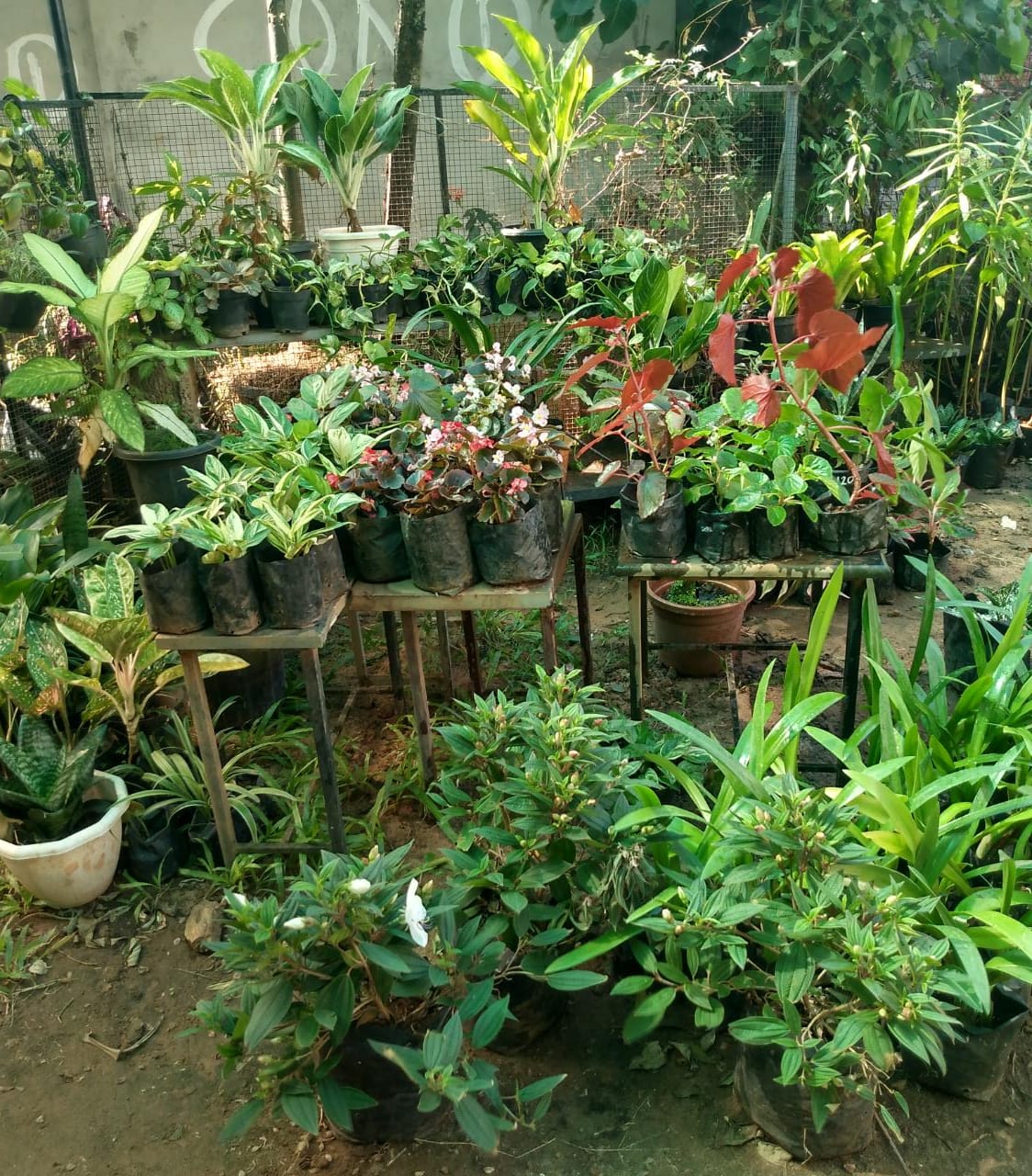 MANCHOTTIL GARDEN PUTHIYANGADI