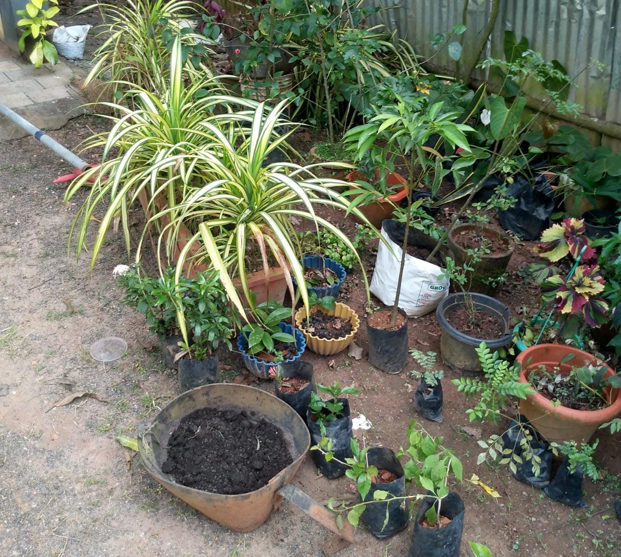 MANCHOTTIL GARDEN PUTHIYANGADI