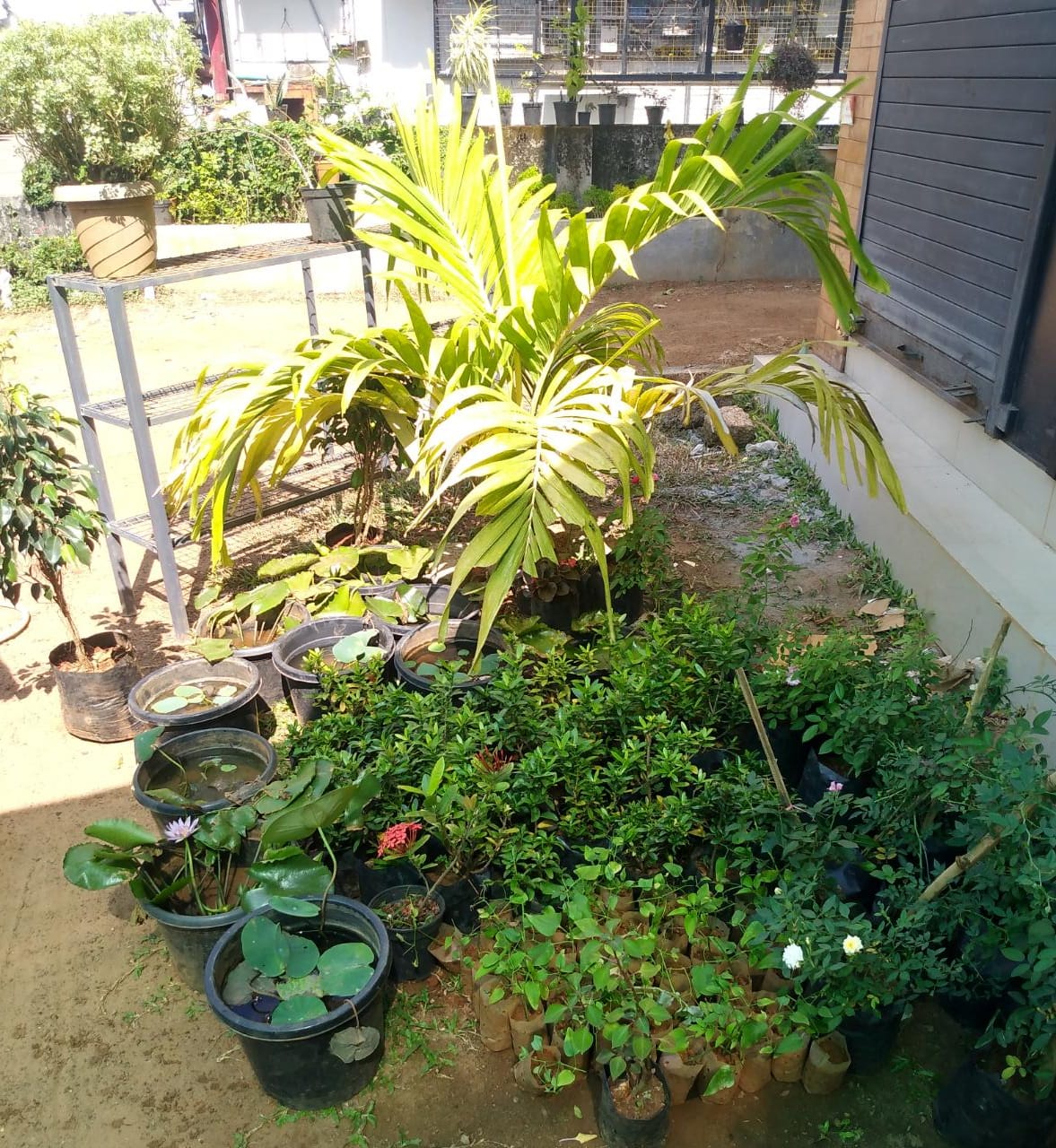 MANCHOTTIL GARDEN PUTHIYANGADI